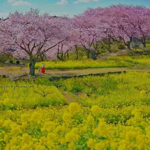 وحید سدیدی و مرتضی جوان دنیا تو با رنجت عذابم دادی دنیا به امید تو